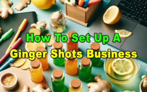 Read more about the article How To Set Up A Ginger Shots Business