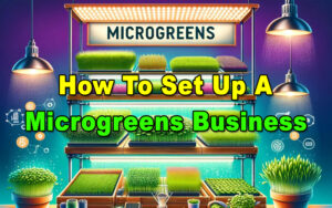 Read more about the article How To Set Up A Microgreens Business